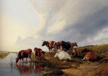  Gran Arte - Noche en los prados animales de granja ganado Thomas Sidney Cooper